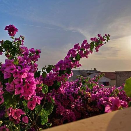 Apartmani Martinovka Drasnice Esterno foto